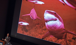 GameDesignExpo_RedOcean