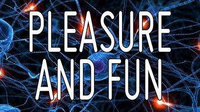 The difference between Pleasure and Fun